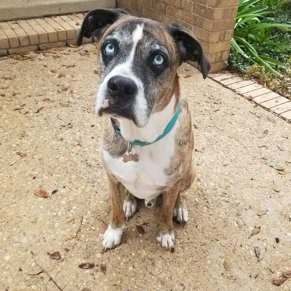 Welcome!! - Picture 7 of 8